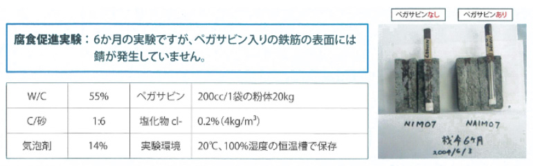 腐食促進実験の説明・写真