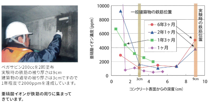 試験の写真／図